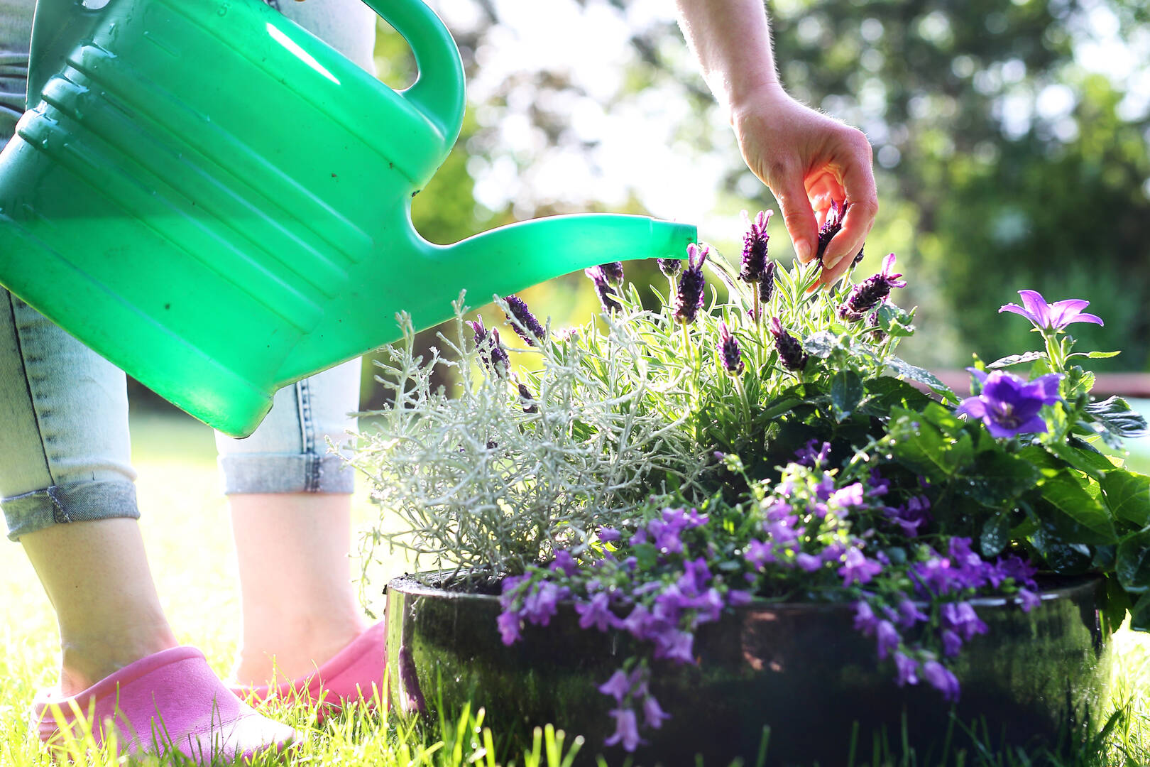 Omaha Lawnscaping Solutions