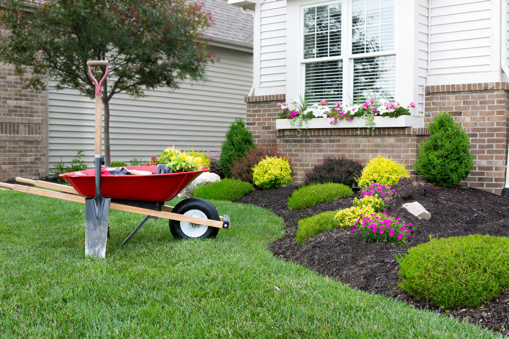 Hudson & Sons Tree Service