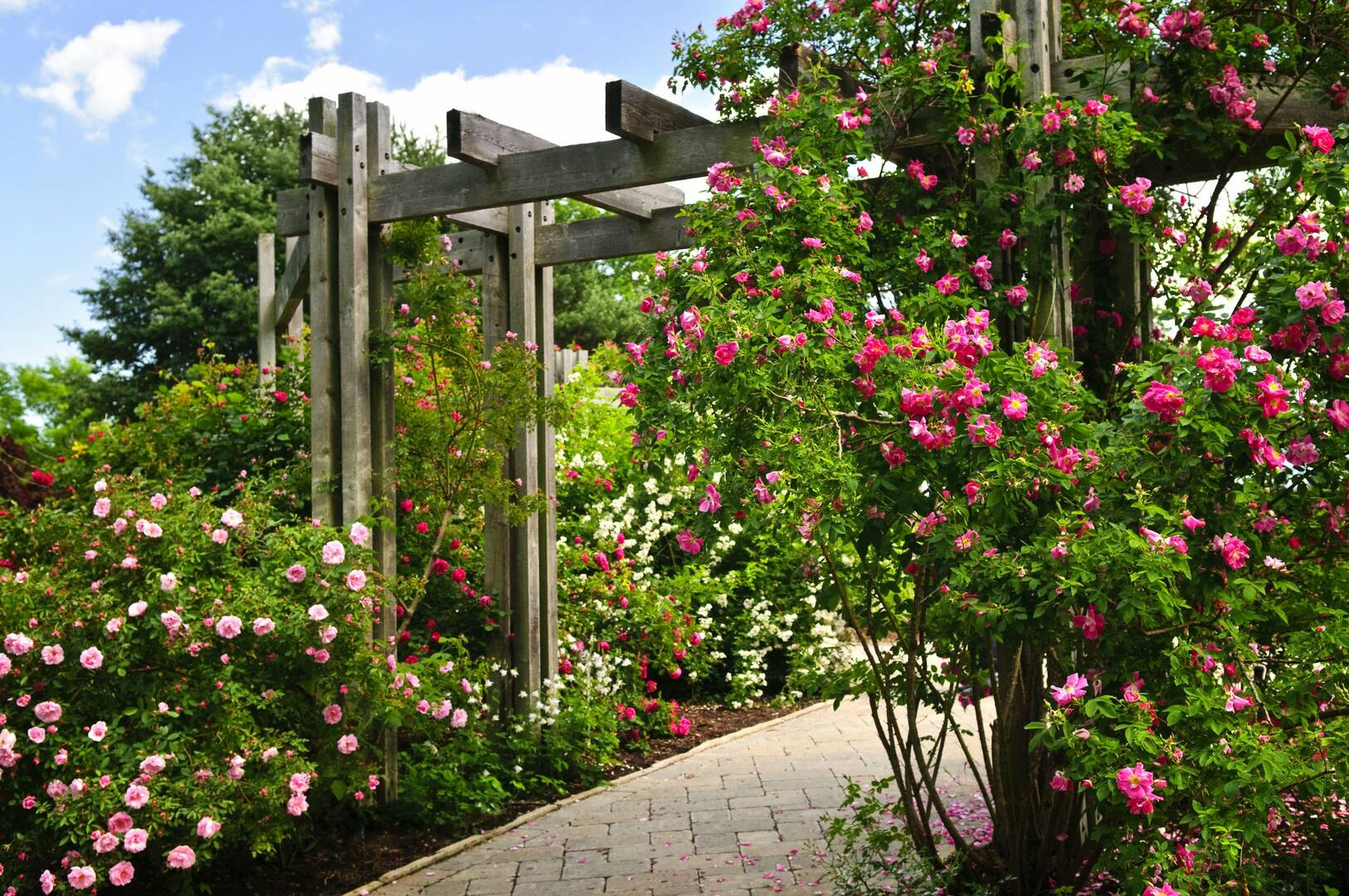 Reinford Landscapes