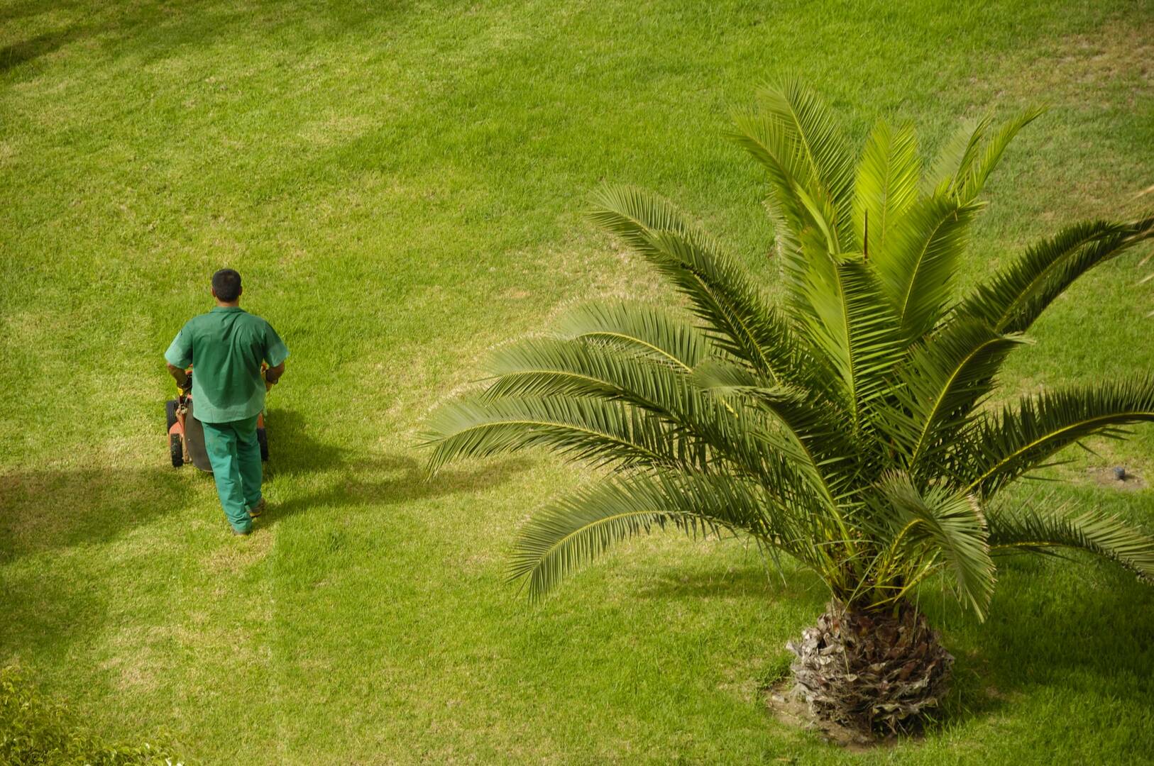 Tomax Tree Service