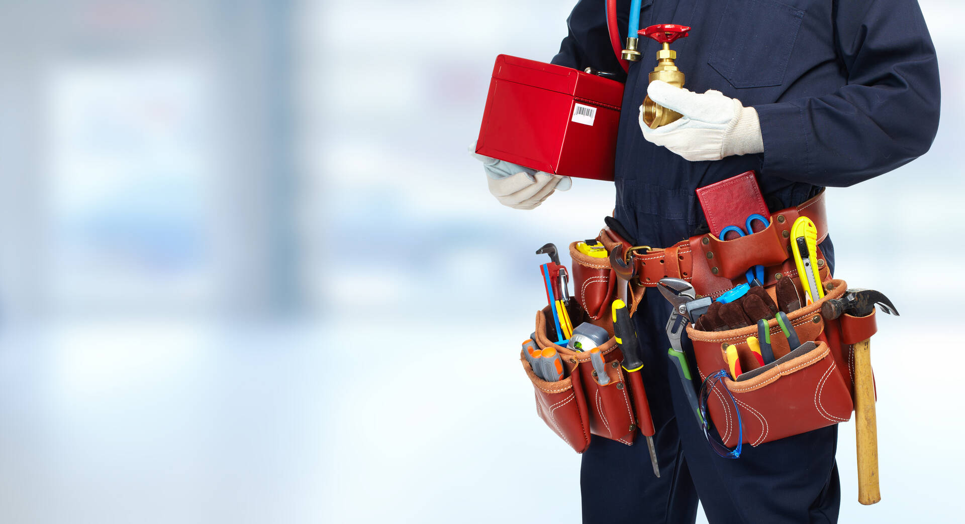 Real Plumbers