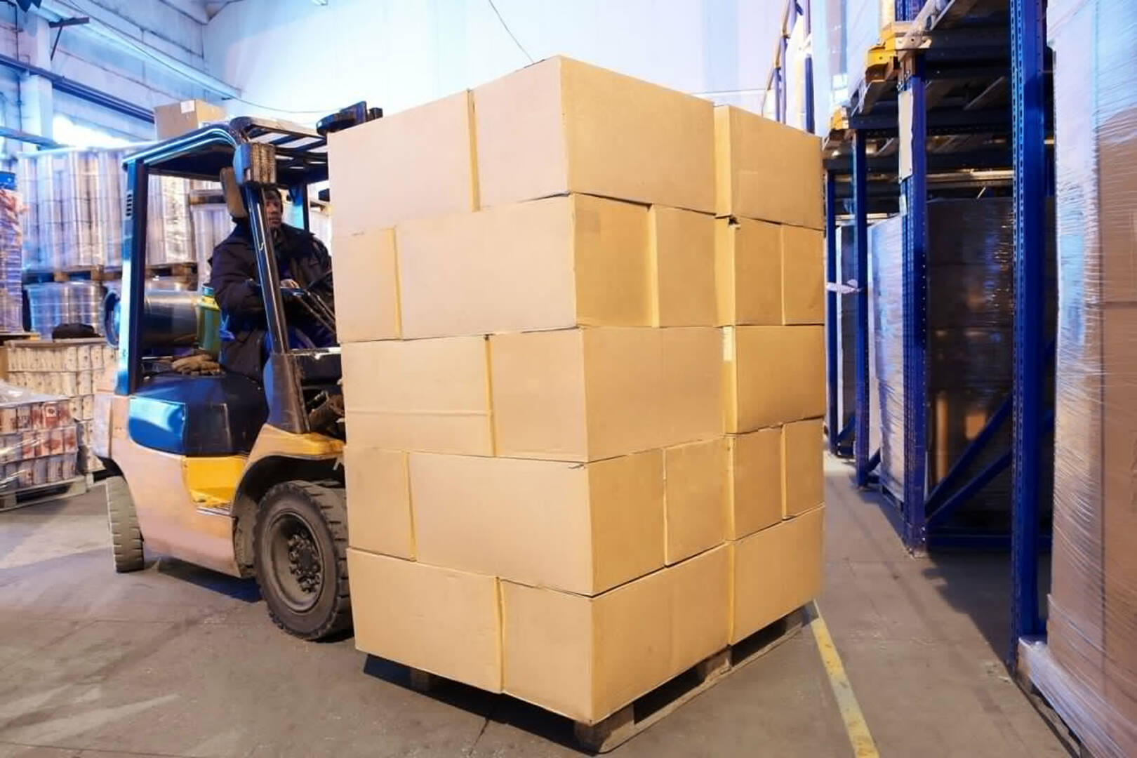 Hunt Removals