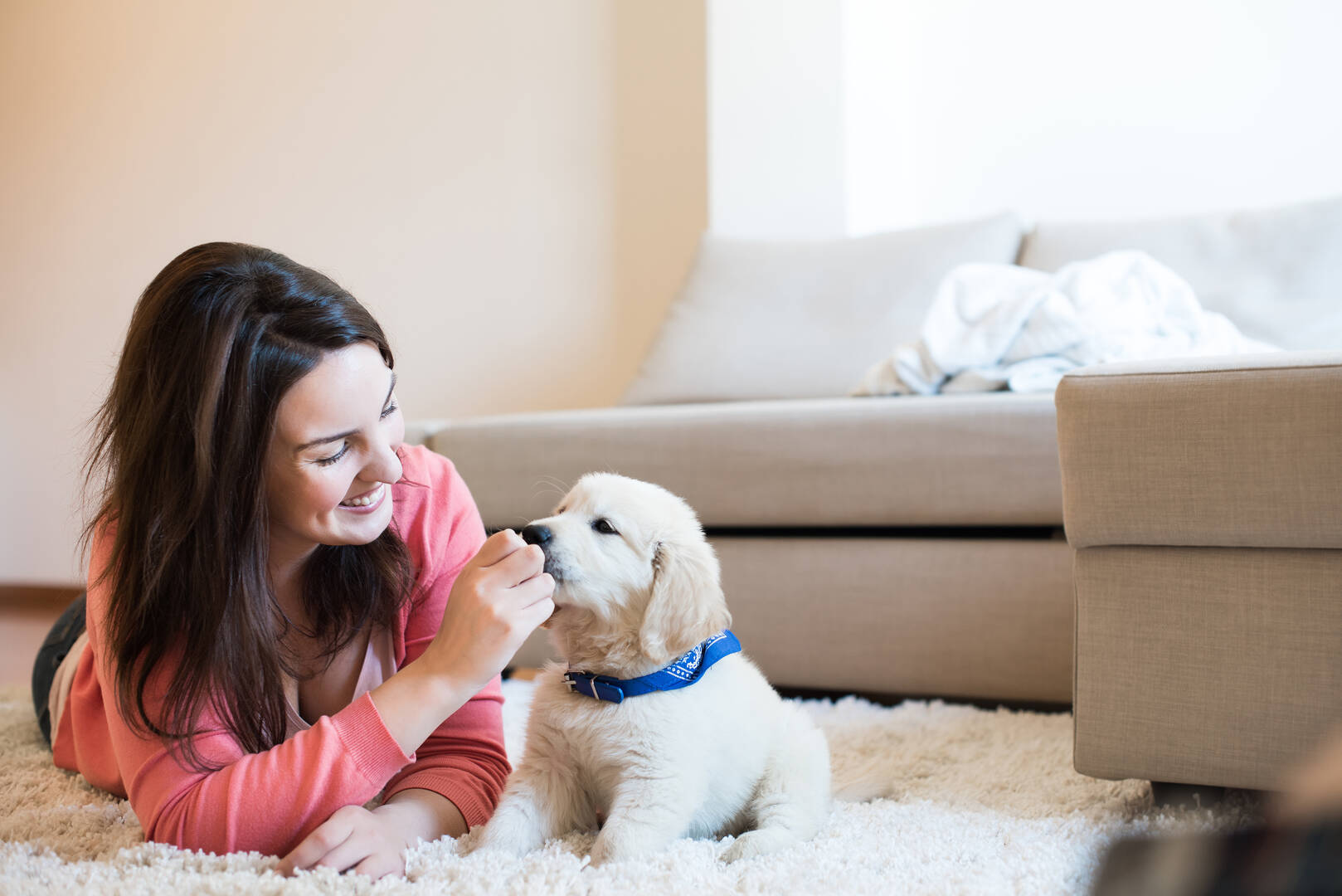Interlude Pet Resort & Spa
